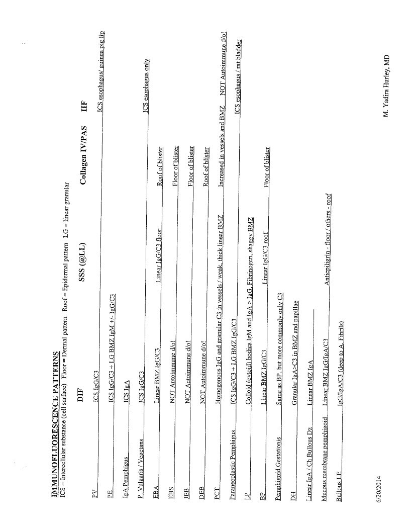 Document page 22 of 72