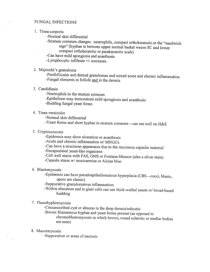 Document page 47 of 72